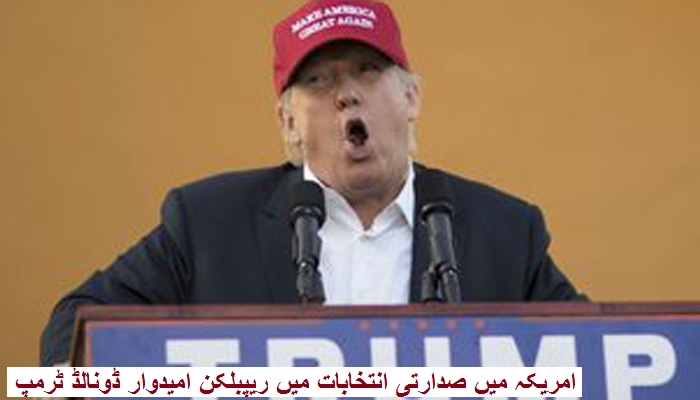 ڈونالڈ ٹرمپ نے اڑایا ہندوستانی کا مذاق، لیکن ہندوستان کو بتایا عظیم ملک